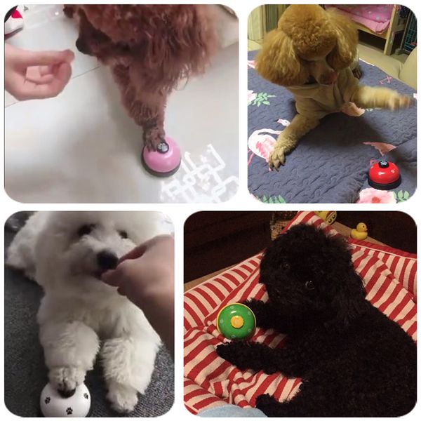 творческий pet training calling bell cat dog кормление ringer интерактивная белл обучающие игрушки easy обучение аксессуары 7x5cm
творческий pet training calling bell cat dog кормление ringer интерактивная белл обучающие игрушки easy обучение аксессуары 7x5cm