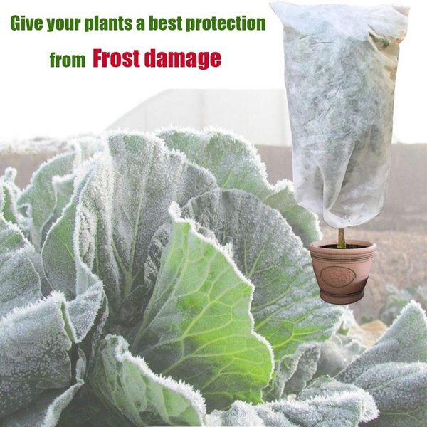 3-piece winter drawstring plant cover - warm plant protection bag, frost cloth blanket to protect fruit tree pot plants from fre other garde
3-piece winter drawstring plant cover - warm plant protection bag, frost cloth blanket to protect fruit tree pot plants from fre other garde
