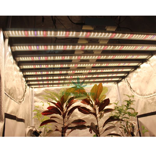 2020 full spectrum samsung lm2835 600w 800w led grow light bar high ppfd quantum tech bar for greenhouse plant growing
2020 full spectrum samsung lm2835 600w 800w led grow light bar high ppfd quantum tech bar for greenhouse plant growing