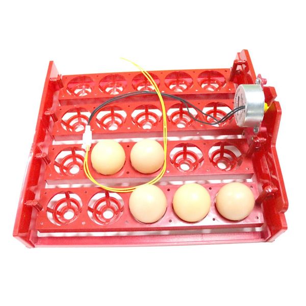 20 egg incubator turn eggs tray chicken bird duck goose pigeon quail automatic incubator farm animal poultry incubator equipment 
20 egg incubator turn eggs tray chicken bird duck goose pigeon quail automatic incubator farm animal poultry incubator equipment
