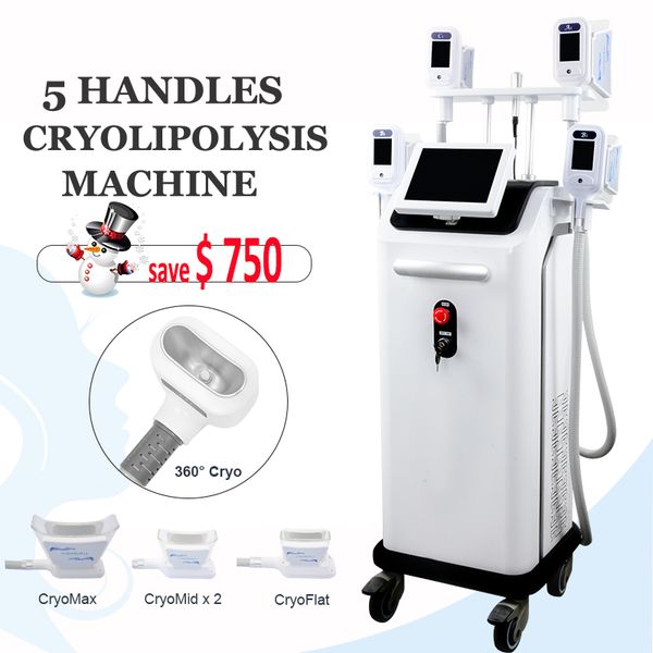 2019 cryolipolysis vacuum therapy machine cool body shaping liposuction fat removal lipo cryo therapy fat ing lose weight treatment
2019 cryolipolysis vacuum therapy machine cool body shaping liposuction fat removal lipo cryo therapy fat ing lose weight treatment