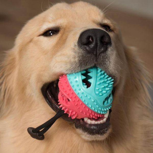 dog toys toothbrush iq treat dispensing ball rope safe teeth cleaning pet chew toy interactive puppy play game training
dog toys toothbrush iq treat dispensing ball rope safe teeth cleaning pet chew toy interactive puppy play game training