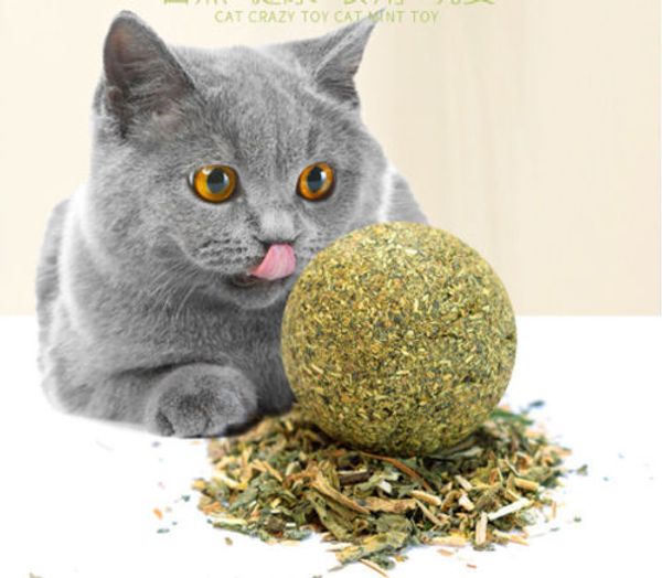 pet cat treats toys natural catnip mint ball toy for cat teaser playing chew toy
pet cat treats toys natural catnip mint ball toy for cat teaser playing chew toy