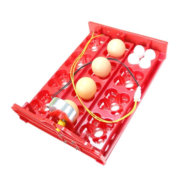 12 eggs/48 birds eggs incubator turn eggs tray 220v/110v/12v chicken bird automatic incubator poultry incubator equipment other pet suppli
12 eggs/48 birds eggs incubator turn eggs tray 220v/110v/12v chicken bird automatic incubator poultry incubator equipment other pet suppli