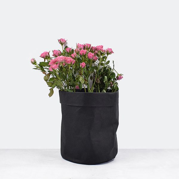 kraft paper bags planters flower pots washable garden pots multi-function storage bag succulent planters decoration
kraft paper bags planters flower pots washable garden pots multi-function storage bag succulent planters decoration