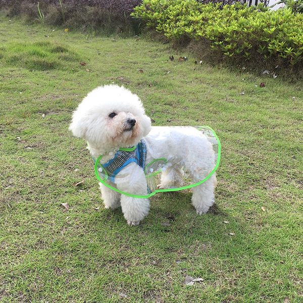 raincoat dog raincoat pet clothes transparent raincoat light clothes waterproof for small dog with hood
raincoat dog raincoat pet clothes transparent raincoat light clothes waterproof for small dog with hood