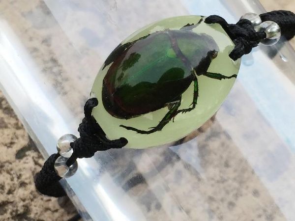 10 pcs chinese green cool scarab beetle insect glow in the dark bracelet, Golden;silver
10 pcs chinese green cool scarab beetle insect glow in the dark bracelet, Golden;silver