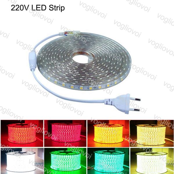 led strip lights 100m 220v high voltage smd 5050 rgb led strips lights ip67 outdoor lighting string bar pub christmas party dhl
led strip lights 100m 220v high voltage smd 5050 rgb led strips lights ip67 outdoor lighting string bar pub christmas party dhl