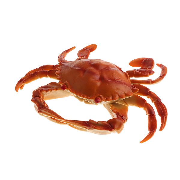 искусственный пвх краб моделирование морепродукты краб украшения мягкий и реалистичный внешний вид
искусственный пвх краб моделирование морепродукты краб украшения мягкий и реалистичный внешний вид