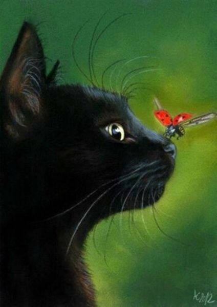 black cat art home decor расписанную hd печати картина маслом на холсте wall art холст pictures a251
black cat art home decor расписанную hd печати картина маслом на холсте wall art холст pictures a251