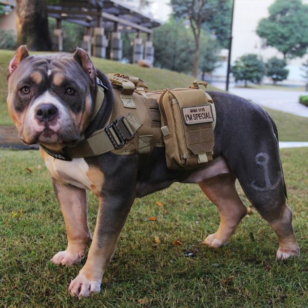 outdoor hunting pet dog clothes army tactical dog vest pitbull harness labrador alaskan training harness pet supplies
outdoor hunting pet dog clothes army tactical dog vest pitbull harness labrador alaskan training harness pet supplies