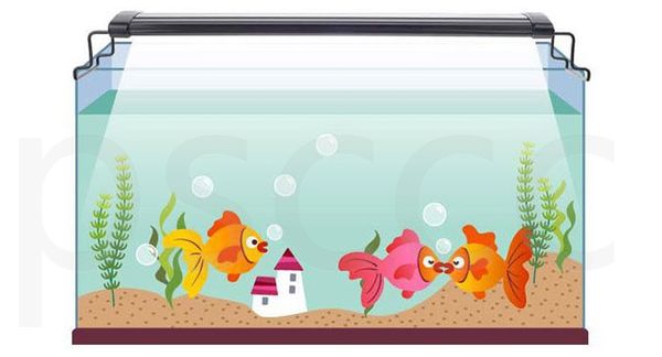 36/72/108/144/180 led light fish tank aquarium lighting lamps w/ extendable brackets aquarium accessories fishbowl lights
36/72/108/144/180 led light fish tank aquarium lighting lamps w/ extendable brackets aquarium accessories fishbowl lights