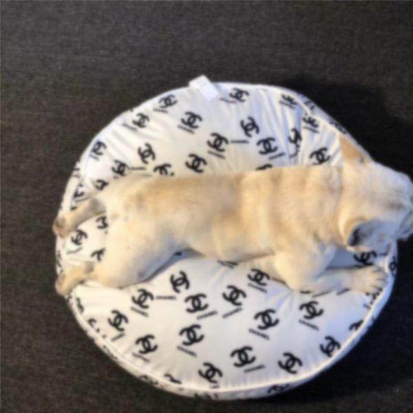 круг питомники мягкой собаки кошка универсальной кровать крытого pet отдых sleeping must кровать four seasons универсальная бесплатная доста
круг питомники мягкой собаки кошка универсальной кровать крытого pet отдых sleeping must кровать four seasons универсальная бесплатная доста