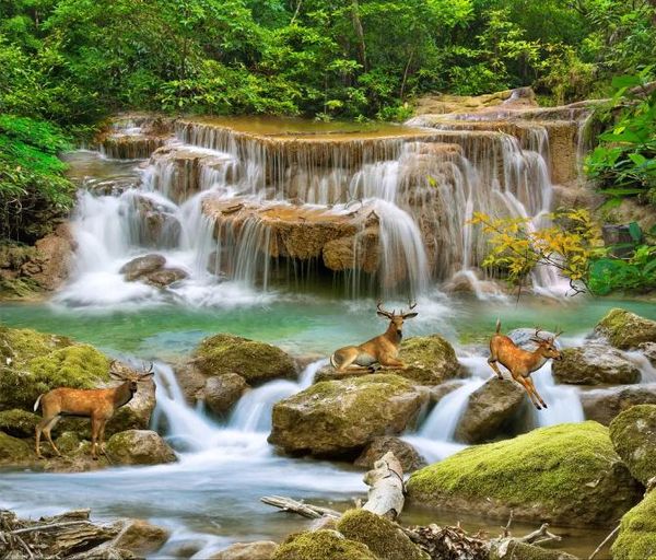 custom mural wallpaper european style stream creek waterfall living room living room bedroom p wallpaper
custom mural wallpaper european style stream creek waterfall living room living room bedroom p wallpaper