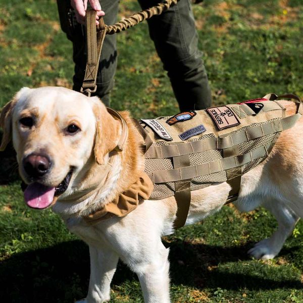 onetigris tactical k9 mesh harness paratrooper hunting dog training vest harness for for hiking walking the dog, Camo;black
onetigris tactical k9 mesh harness paratrooper hunting dog training vest harness for for hiking walking the dog, Camo;black