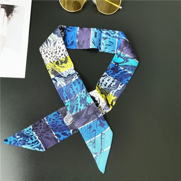 2020 new small scarf, silk scarf, women's versatile narrow fashion chain, ribbon, wrist strap, ribbon wholesale, Blue;gray
2020 new small scarf, silk scarf, women's versatile narrow fashion chain, ribbon, wrist strap, ribbon wholesale, Blue;gray