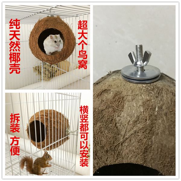 parrot coconut husk the bird's nest coconut shell fossa squirrel hamster reproduction nest tiger skin peony the bird's nest
parrot coconut husk the bird's nest coconut shell fossa squirrel hamster reproduction nest tiger skin peony the bird's nest