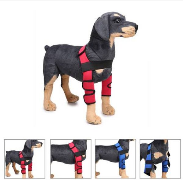2019 wholesales 1 pair pet dog knee pads support leg safety joint brace wrap protectors
2019 wholesales 1 pair pet dog knee pads support leg safety joint brace wrap protectors