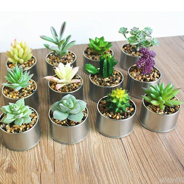 vase+succulent plants set real touch mini palm bonsai artificial fleshiness cactus decorative flower for table decoration plants
vase+succulent plants set real touch mini palm bonsai artificial fleshiness cactus decorative flower for table decoration plants