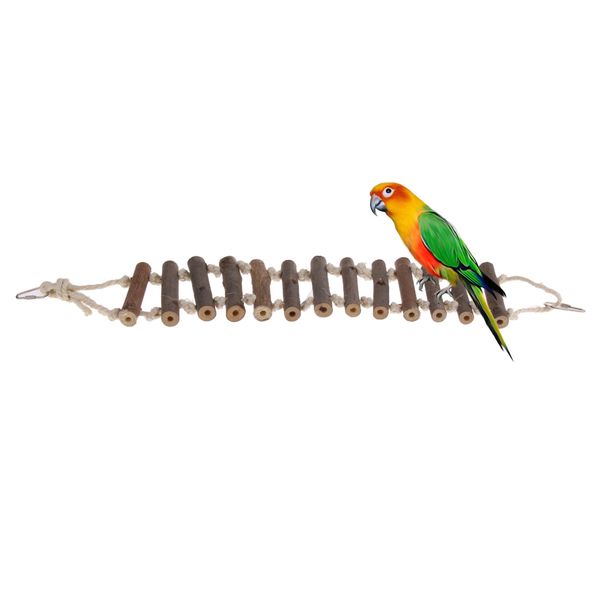bird ladder parrot toys cage accessories for cockatiel conure macaw parakeet swing training tool
bird ladder parrot toys cage accessories for cockatiel conure macaw parakeet swing training tool