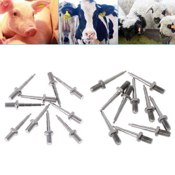 10pcs ear tag pliers needle stainless steel alloy accessories clamp pigs sheep
10pcs ear tag pliers needle stainless steel alloy accessories clamp pigs sheep