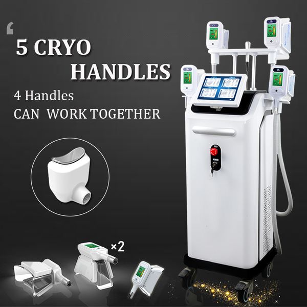 cryotherapy fat e machine for reduce fat lipolysis cool shape weight loss machine with 5 different sizes handles
cryotherapy fat e machine for reduce fat lipolysis cool shape weight loss machine with 5 different sizes handles