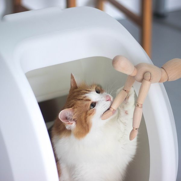 m8 полузакрытый cat песок горшок полуавтоматическая туалет экскременты большой полностью закрытая
m8 полузакрытый cat песок горшок полуавтоматическая туалет экскременты большой полностью закрытая