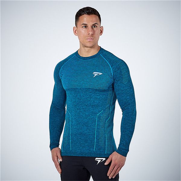 running jerseys 2021 men compression quick dry long sleeve t-shirt man gym fitness t shirt male jogging sports workout tight tees top, Black;blue
running jerseys 2021 men compression quick dry long sleeve t-shirt man gym fitness t shirt male jogging sports workout tight tees top, Black;blue