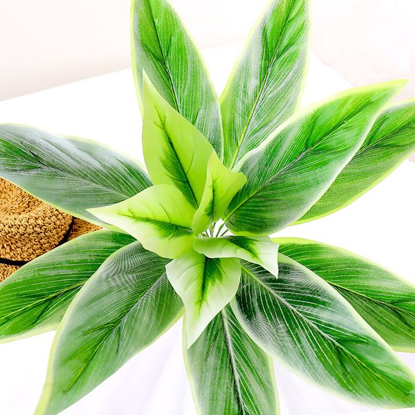 silk grass 65cm green leaf plastic grass fake plant bouquet wall material artificial tree greenery flower wedding home christmas decoration
silk grass 65cm green leaf plastic grass fake plant bouquet wall material artificial tree greenery flower wedding home christmas decoration