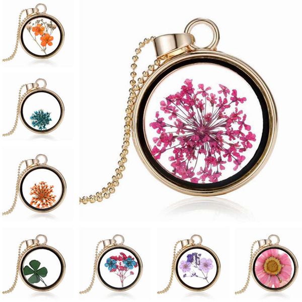 botanical specimen multicolor dried flower necklace factory direct sales djn60 mix order pendant necklaces jewelry, Silver
botanical specimen multicolor dried flower necklace factory direct sales djn60 mix order pendant necklaces jewelry, Silver