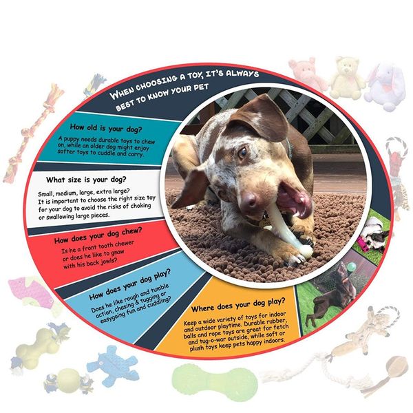 этические pet interactive seek-a-treat перемешать bone игрушка головоломки, которые позволят улучшить iq вашей собаки, специально разработан
этические pet interactive seek-a-treat перемешать bone игрушка головоломки, которые позволят улучшить iq вашей собаки, специально разработан