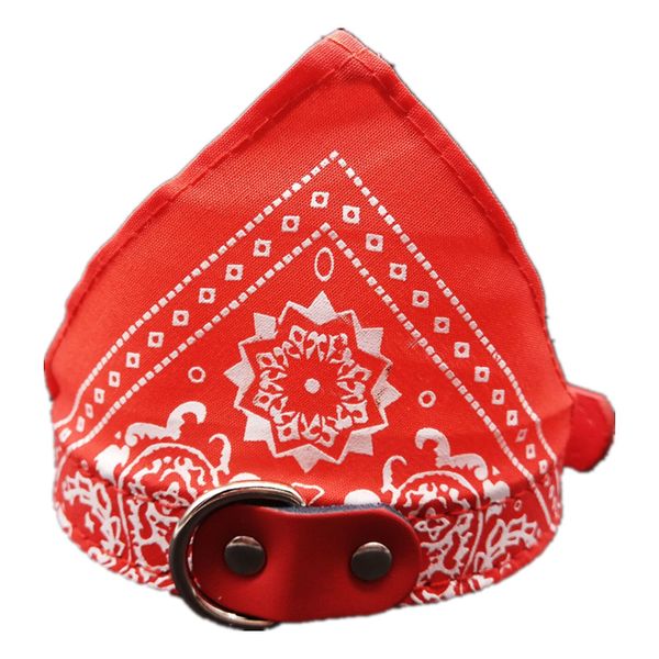 новый конструктор собака бандана collar регулируемая pet cat шейный новый конструктор сайтов на ноги, чтобы купить весеннюю скидку от hotcli
новый конструктор собака бандана collar регулируемая pet cat шейный новый конструктор сайтов на ноги, чтобы купить весеннюю скидку от hotcli