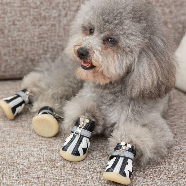 4pc pet dog shoes zipper casual anti-slipteddy softsole breathable sandals candy colors sneaker spring and summer dog sport shoe
4pc pet dog shoes zipper casual anti-slipteddy softsole breathable sandals candy colors sneaker spring and summer dog sport shoe