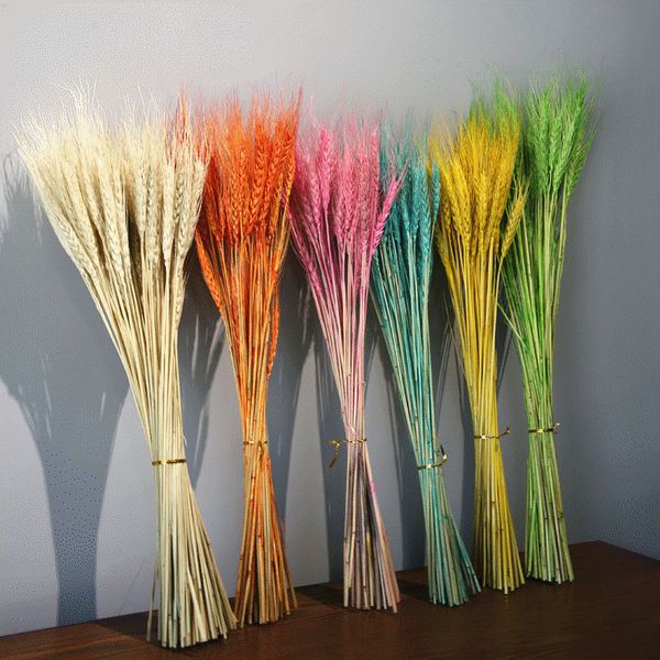 50pcs/lot artificial wheat ear flower wedding bride bouquet party decoration diy craft scrapbook living room floral ornament
50pcs/lot artificial wheat ear flower wedding bride bouquet party decoration diy craft scrapbook living room floral ornament