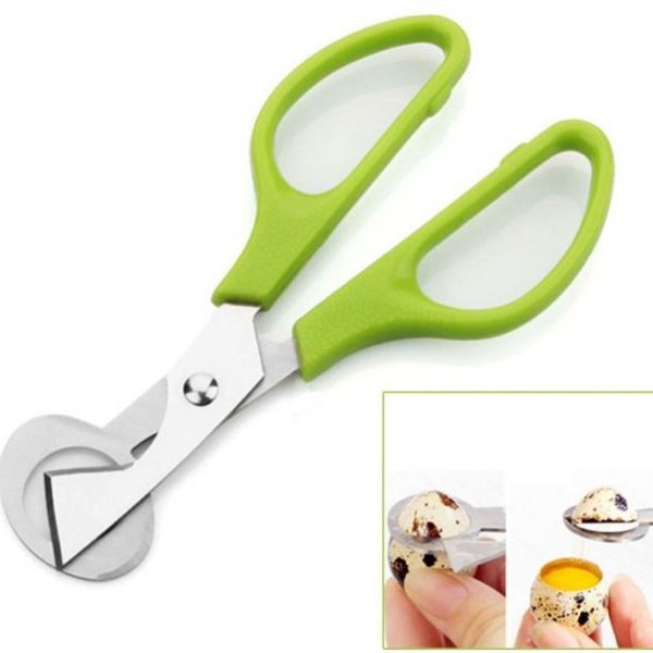 pigeon quail egg scissor bird cutter opener egg slicers housewife tool clipper accessories gadgets for kitchen
pigeon quail egg scissor bird cutter opener egg slicers housewife tool clipper accessories gadgets for kitchen