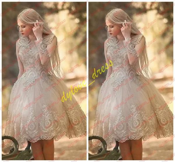 2021 lace plus size african black girl prom party dress long sleeve vestidos de fiesta homecoming cocktail dress arabic evening gowns short
2021 lace plus size african black girl prom party dress long sleeve vestidos de fiesta homecoming cocktail dress arabic evening gowns short