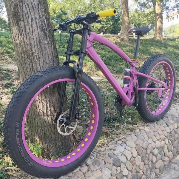 kalosse snow bicycle full suspension m310 26*4.0 inch fat bicycle mountain bike 24 speed 26er
kalosse snow bicycle full suspension m310 26*4.0 inch fat bicycle mountain bike 24 speed 26er