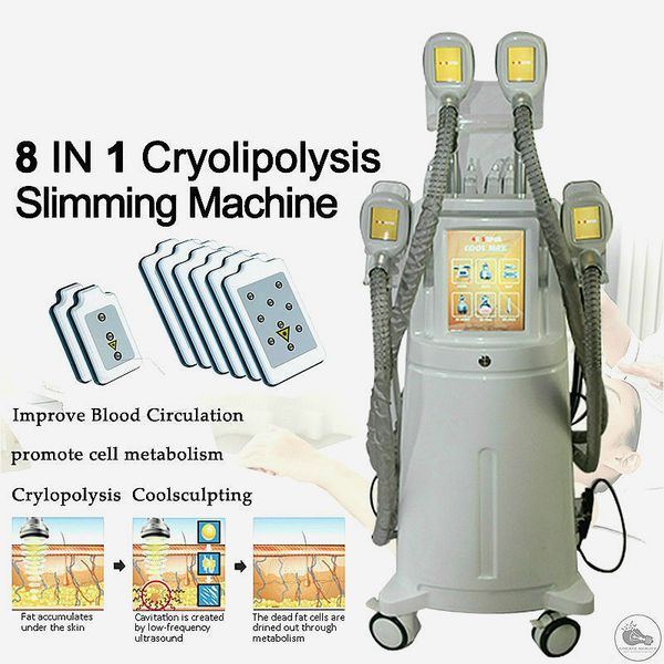 most popular cryolipolysis lipo e fat ing machine body slimming with 4 cryo handles lipolaser treatment
most popular cryolipolysis lipo e fat ing machine body slimming with 4 cryo handles lipolaser treatment