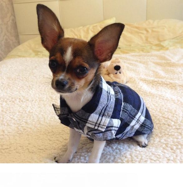 лен одежда дл домани обак дл маленки обак мода лопок кока обака ђ
лен одежда дл домани обак дл маленки обак мода лопок кока обака ђ