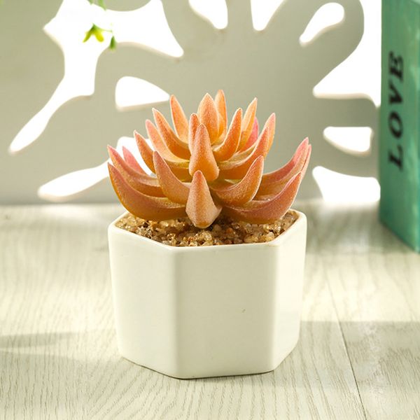 artificial bonsai with pot artificial plants succulent plant mini bonsai potted plant deskhome decor
artificial bonsai with pot artificial plants succulent plant mini bonsai potted plant deskhome decor