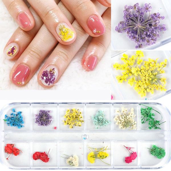 dried flower nail rhinestones set mixed butterfly foil shell paillette 3d nail art decorations beads manicure accessories, Silver;gold
dried flower nail rhinestones set mixed butterfly foil shell paillette 3d nail art decorations beads manicure accessories, Silver;gold