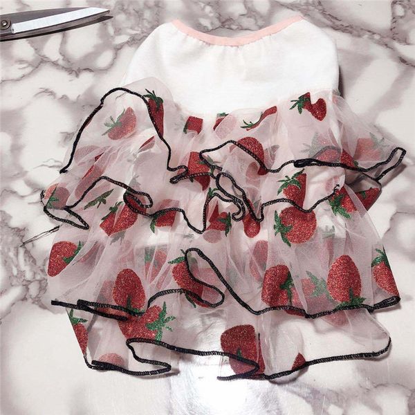 прекрасный клубничный узор pet dresses high street personality printed pet юбки фестиваль элегантный шарм тедди бишон одежда
прекрасный клубничный узор pet dresses high street personality printed pet юбки фестиваль элегантный шарм тедди бишон одежда