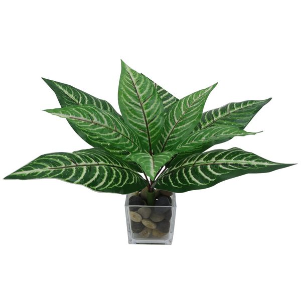 10 head plastic peacock leaf artificial green plant fake flower bunch leaf simulation plant home wedding decoration
10 head plastic peacock leaf artificial green plant fake flower bunch leaf simulation plant home wedding decoration