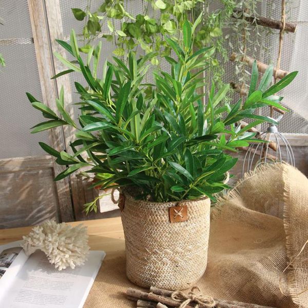 1 branch artificial leaves simulation plant olive leaves large bouquet plastic home decor foliage craft green fake grass 40p
1 branch artificial leaves simulation plant olive leaves large bouquet plastic home decor foliage craft green fake grass 40p
