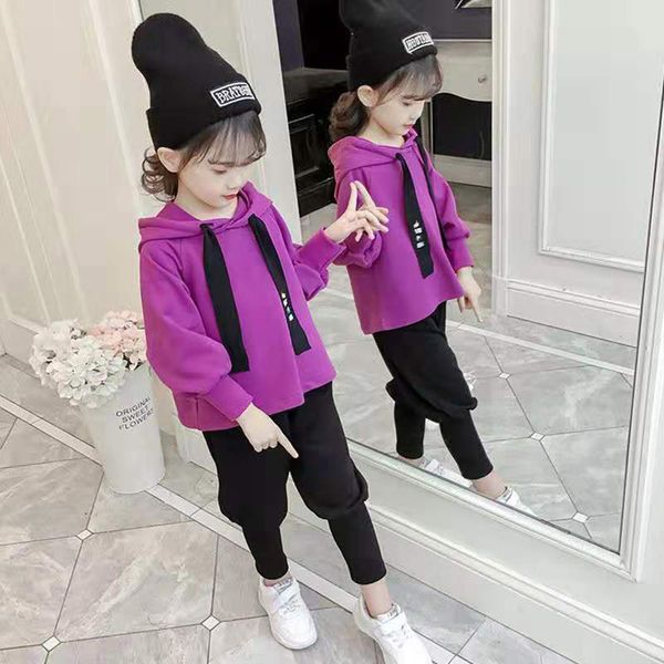 age for 3-12 years children clothing sports suit for girls hooded outwear long sleeve girl clothing set casual sport tracksuit, White
age for 3-12 years children clothing sports suit for girls hooded outwear long sleeve girl clothing set casual sport tracksuit, White