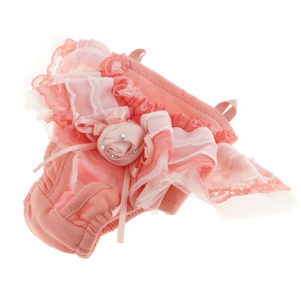 female pet dog cat suspender sanitary pants cotton diaper puppy physiological shorts
female pet dog cat suspender sanitary pants cotton diaper puppy physiological shorts