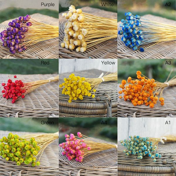50pcs/lot home decor dried flower bouquet natural dried flowers wedding party decorative pgraphy props 0.22
50pcs/lot home decor dried flower bouquet natural dried flowers wedding party decorative pgraphy props 0.22