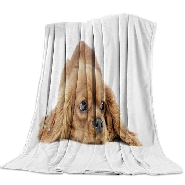 blanket dog charles friend animal rider cute brown fluffy terrier fun flannel blanket warm soft throw sofa bed travel blankets
blanket dog charles friend animal rider cute brown fluffy terrier fun flannel blanket warm soft throw sofa bed travel blankets