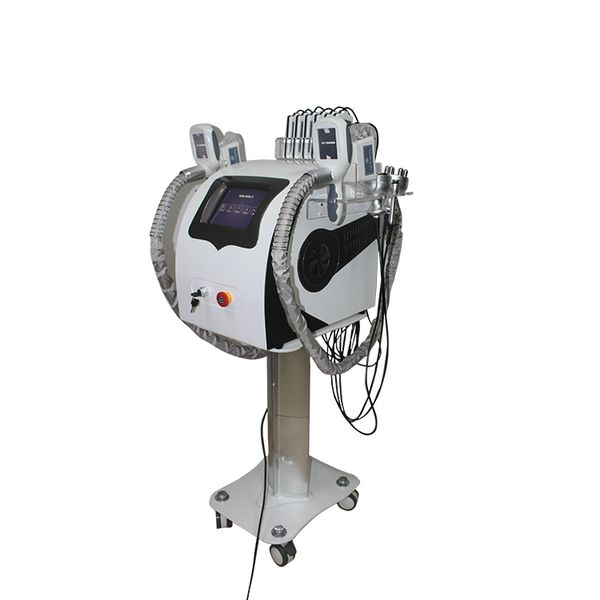 portable cryolipolysis+cavitation+rf+lipo+laser fat e weight loss rf cavitation for skin tighting body shaper machine, Black;white
portable cryolipolysis+cavitation+rf+lipo+laser fat e weight loss rf cavitation for skin tighting body shaper machine, Black;white