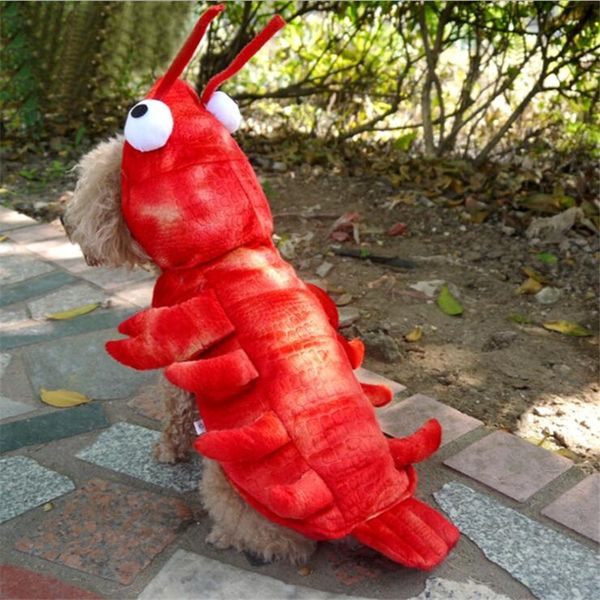 lobster dog clothes pet dog fancy dress pet halloween cosplay costume puppy clothing hoodies outfit thickening cloth
lobster dog clothes pet dog fancy dress pet halloween cosplay costume puppy clothing hoodies outfit thickening cloth